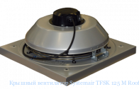 ������� ���������� Systemair TFSK 125 M Roof fan Grey